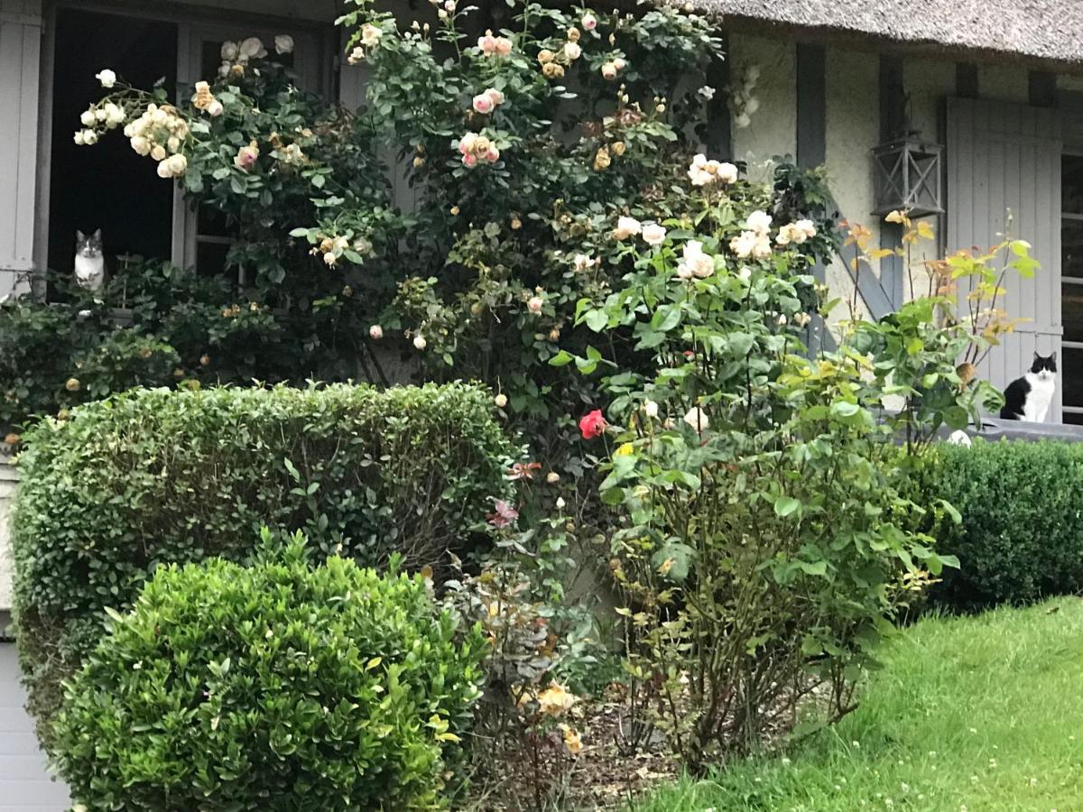 Bed and Breakfast Les Chaumieres Du Pays D'Auge Le Breuil-en-Auge Exterior foto